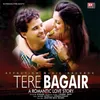 About TERE BAGAIR Song